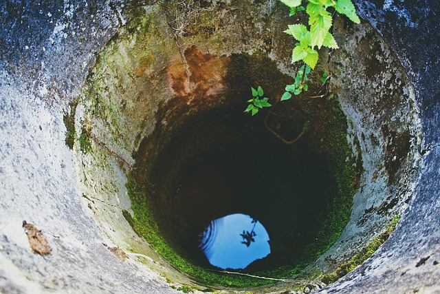 studna v přírodě
